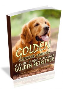 Golden retriever geheimen